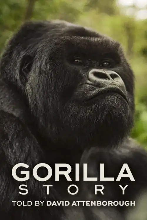 Gorillastory getvonline